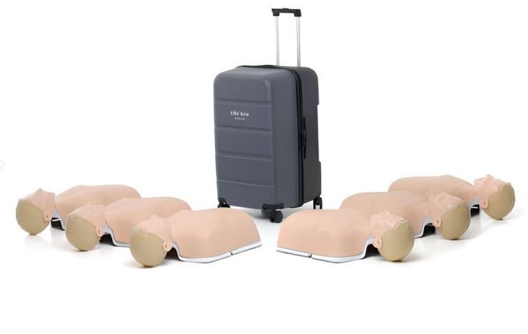 Set 6 Manichini Laerdal Little Anne QCPR Impilabili
